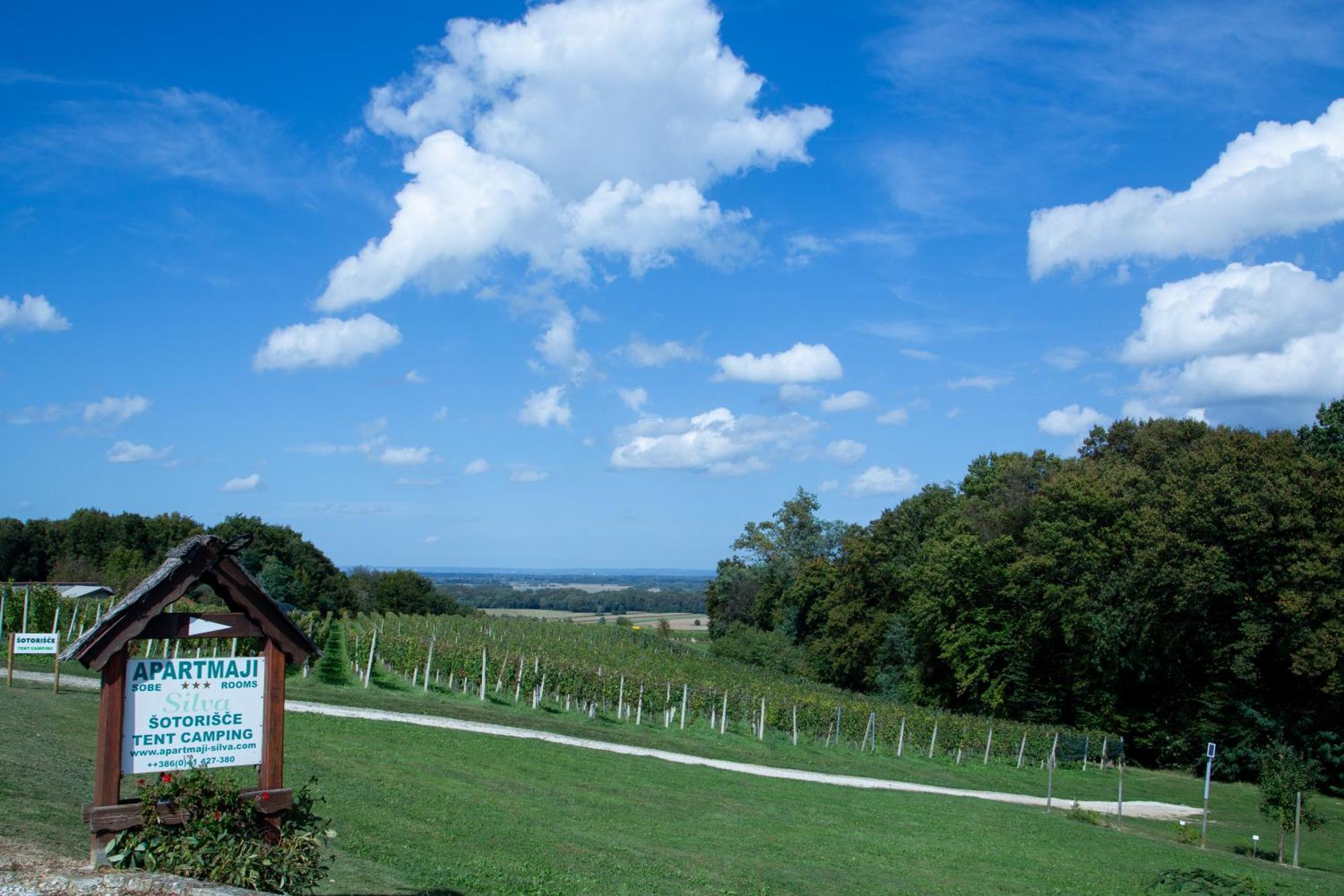 Camping Silva Ljutomer Extérieur photo